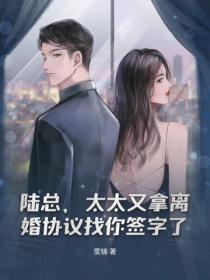 楚逸云为主角的