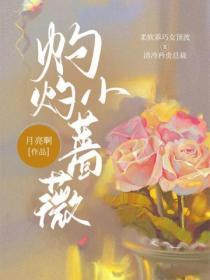 换亲什么意思?